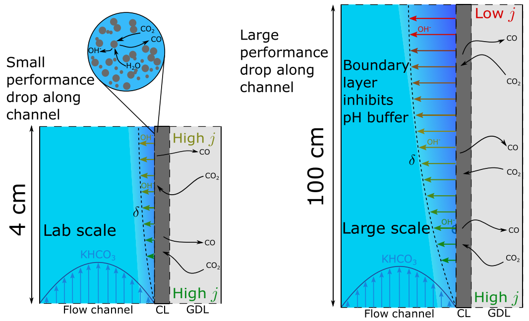 What would be the performance of a 1 m tall CO2 electrolyzer? | J.W ...